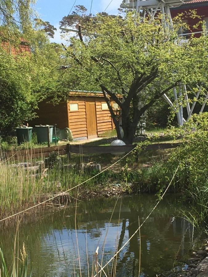 Fewo Schwalbennest Am Meer-Exklusiv-Eigener Strandzugang Lägenhet Ostseebad Kühlungsborn Exteriör bild