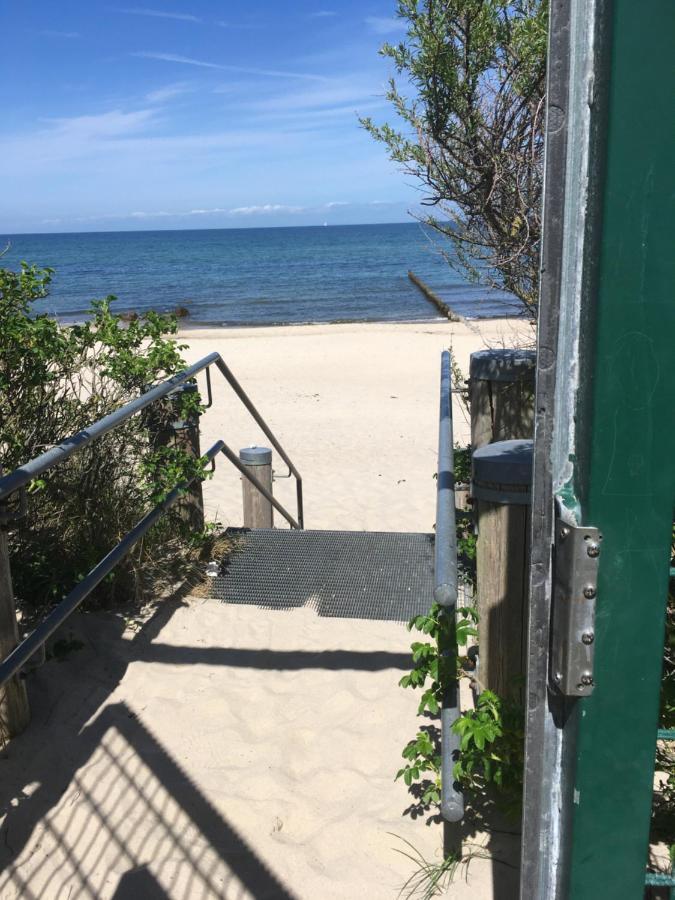 Fewo Schwalbennest Am Meer-Exklusiv-Eigener Strandzugang Lägenhet Ostseebad Kühlungsborn Exteriör bild