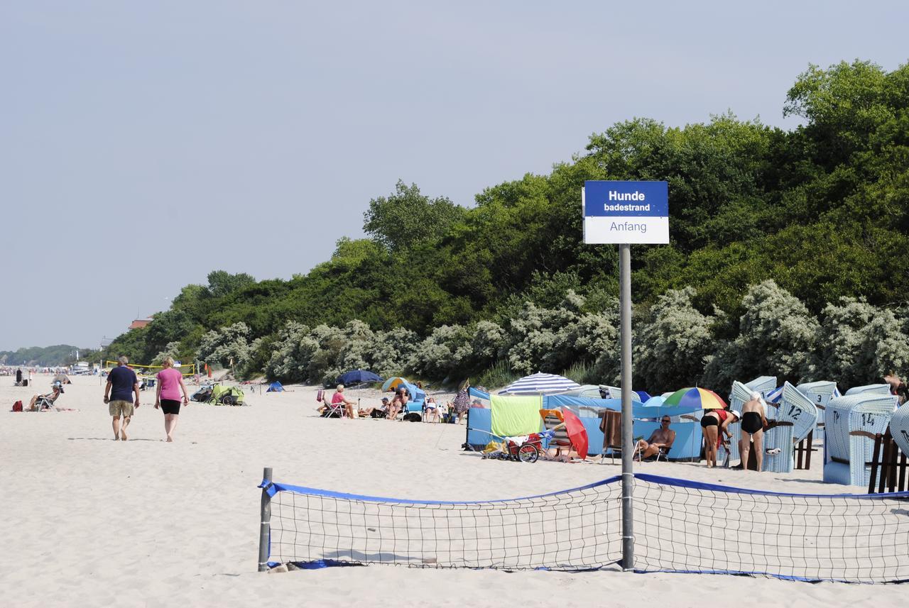 Fewo Schwalbennest Am Meer-Exklusiv-Eigener Strandzugang Lägenhet Ostseebad Kühlungsborn Exteriör bild